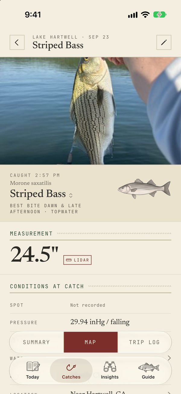 A catch with its length measured from the photo and the estimated weight
